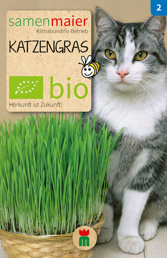 Artikelbild 1 von "BIO Katzengras" aus der Kategorie Kleintiersaaten