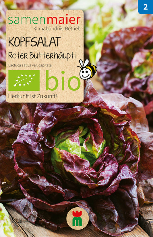 Artikelbild 1 von "BIO Roter Butterhäuptel" aus der Kategorie Rübensamen