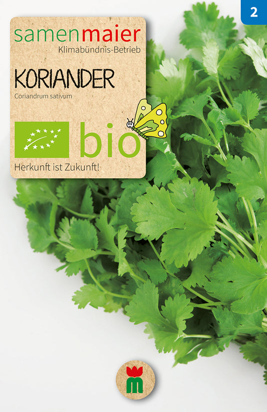 Artikelbild 1 von "BIO Blattkoriander Gewürzkr. einjährig" aus der Kategorie Koriandersamen