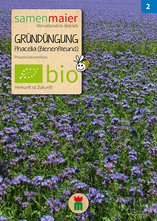 Artikelbild 1 von "BIO Phacelia Gründüngung HE" aus der Kategorie Phaceliasamen
