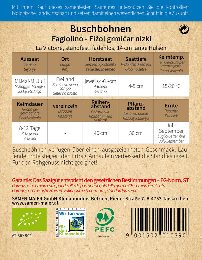 Artikelbild 2 von "BIO Buschbohne La Victoire fadenlos" aus der Kategorie Buschbohnensamen