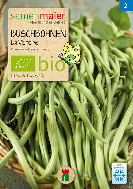 Artikelbild 1 von "BIO Buschbohne La Victoire fadenlos" aus der Kategorie Buschbohnensamen