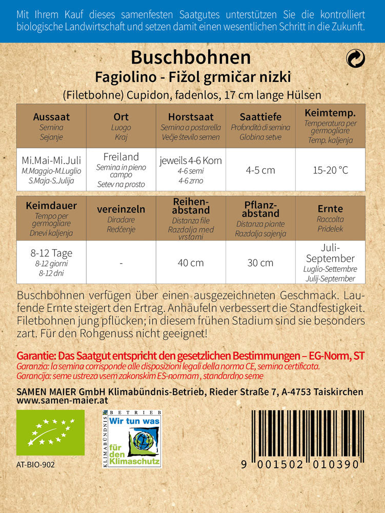 Artikelbild 2 von "BIO Buschbohne Filetbohne Cupidon" aus der Kategorie Buschbohnensamen