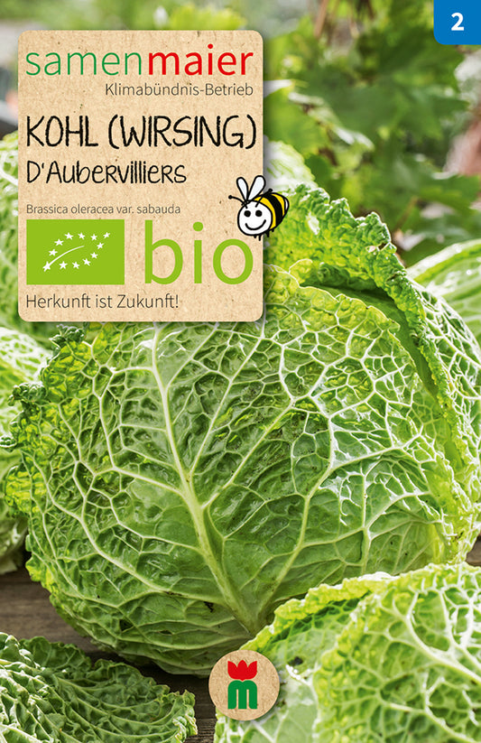 Artikelbild 1 von "BIO Kohl (Wirsing) D'Aubervilliers" aus der Kategorie Wirsingsamen