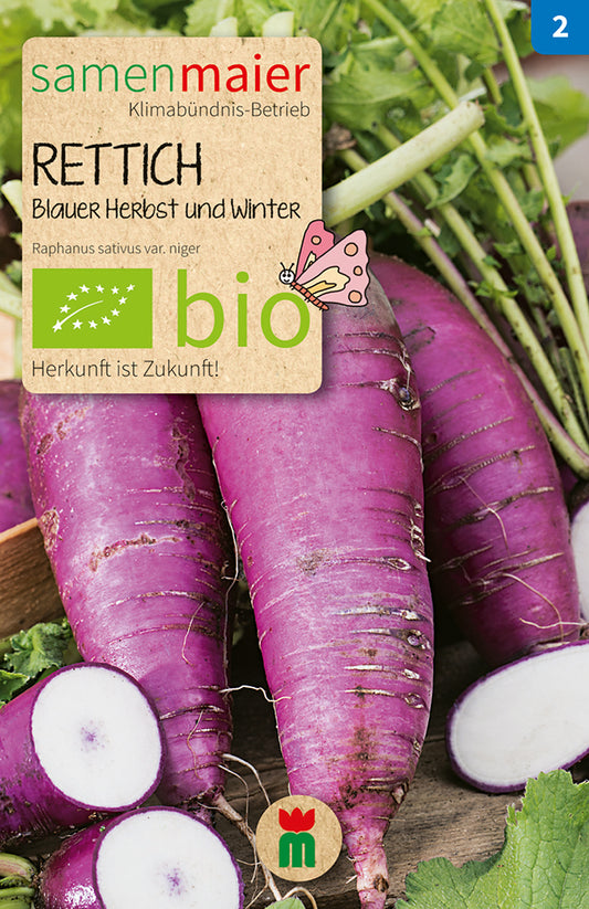 Artikelbild 1 von "BIO Rettich Blauer Herbst und Winter" aus der Kategorie Rettichsamen