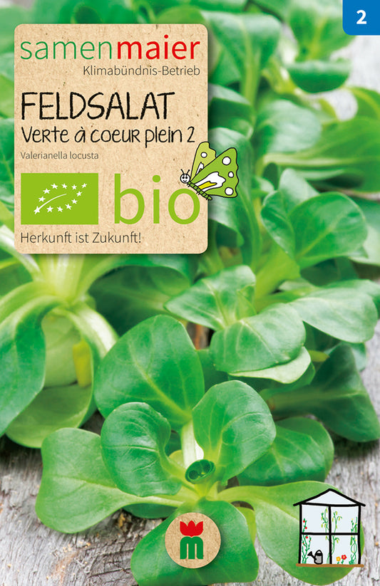 Artikelbild 1 von "BIO Feldsalat Verte a coeur plein 2" aus der Kategorie Feldsalatsamen