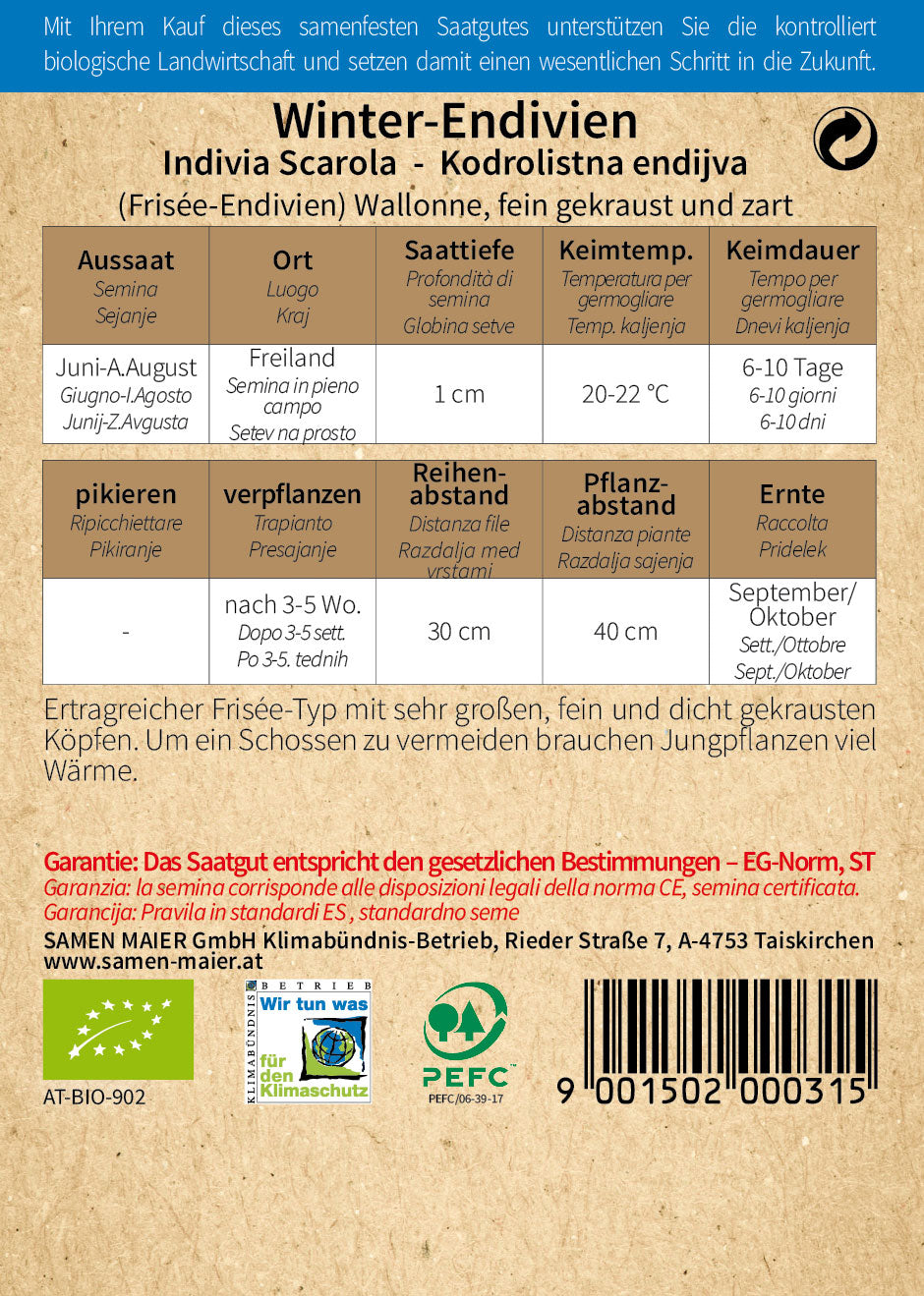 Artikelbild 2 von "BIO Winter-Endivien Wallonne" aus der Kategorie Endiviensalatsamen