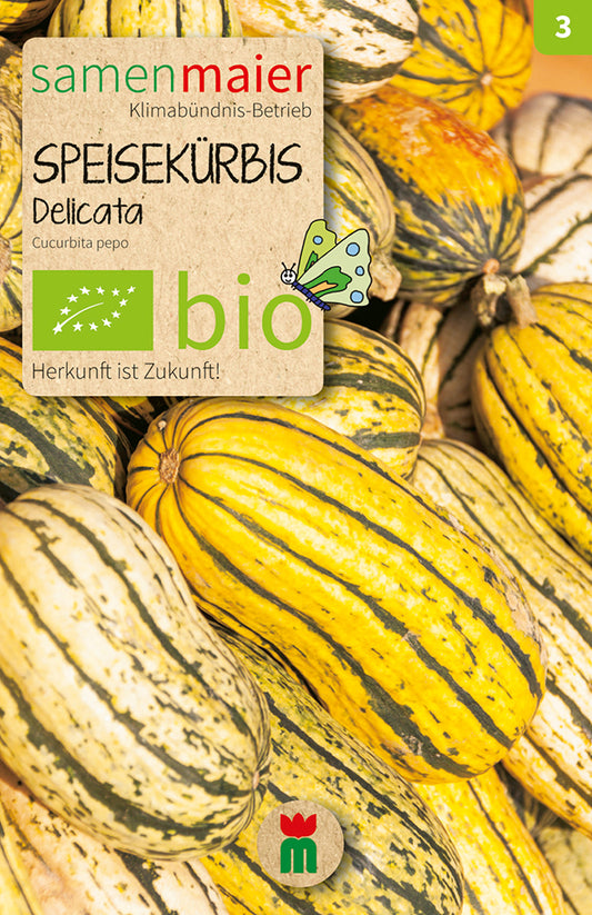 Artikelbild 1 von "BIO Speisekürbis Delicata" aus der Kategorie Kürbissamen