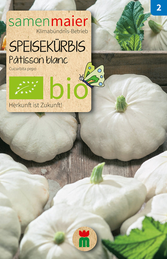 Artikelbild 1 von "BIO Speisekürbis Patisson blanc" aus der Kategorie Kürbissamen