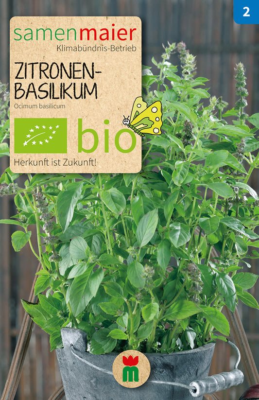 Artikelbild 1 von "BIO Zitronenbasilikum" aus der Kategorie Basilikumsamen