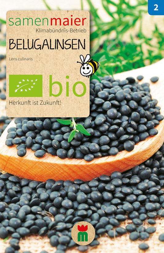 Artikelbild 1 von "BIO Belugalinsen" aus der Kategorie Gemüsesamen