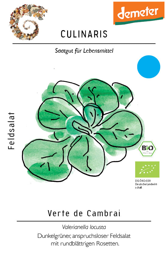 Artikelbild 1 von "BIO Feldsalat Verte de Cambrai" aus der Kategorie Feldsalatsamen