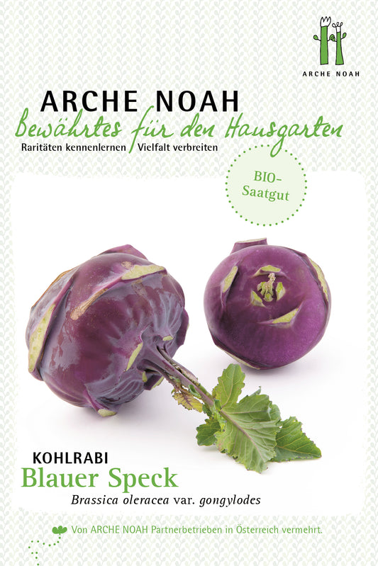 Artikelbild 1 von "Bio-Kohlrabi Blauer Speck" aus der Kategorie Kohlrabisamen