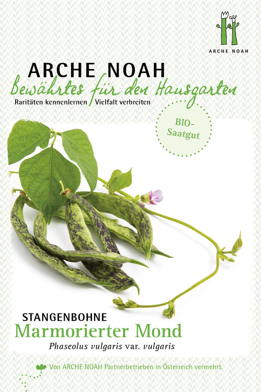 Artikelbild 1 von "Bio-Stangenbohne Marmorierter Mond" aus der Kategorie Stangenbohnensamen