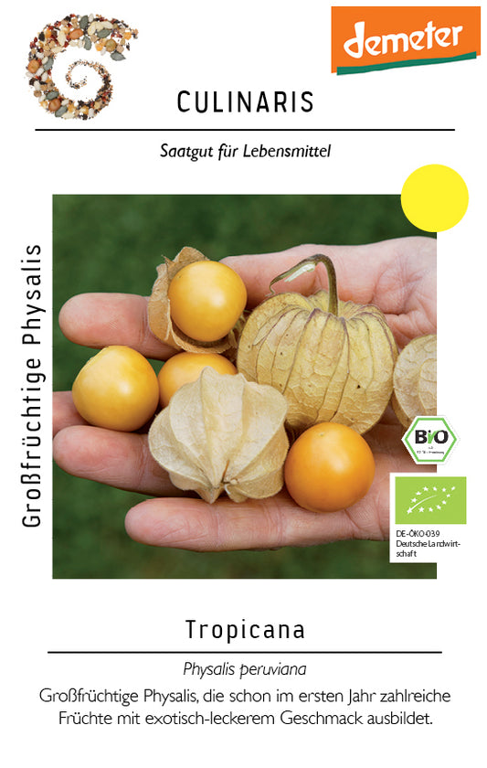 Artikelbild 1 von "BIO Großfrüchtige Physalis Tropicana (Pa 1517-033)"