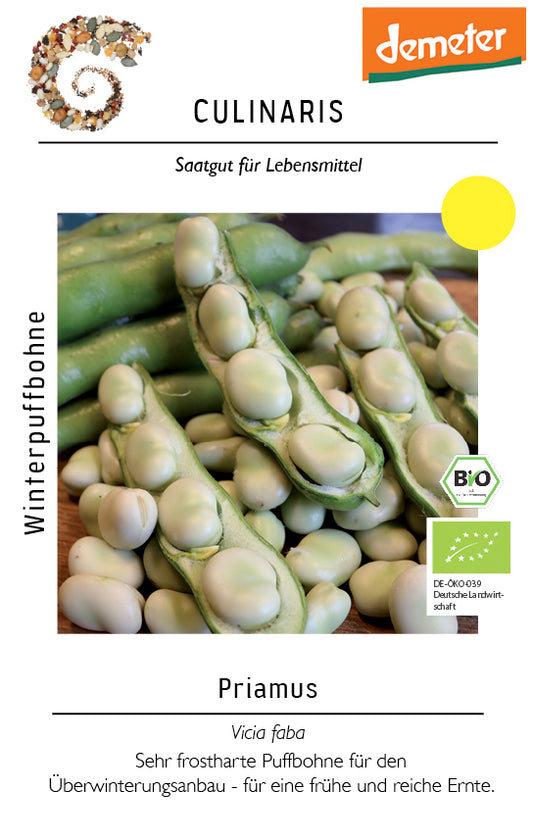 Artikelbild 1 von "BIO Winterpuffbohne Priamus" aus der Kategorie Puffbohnensamen