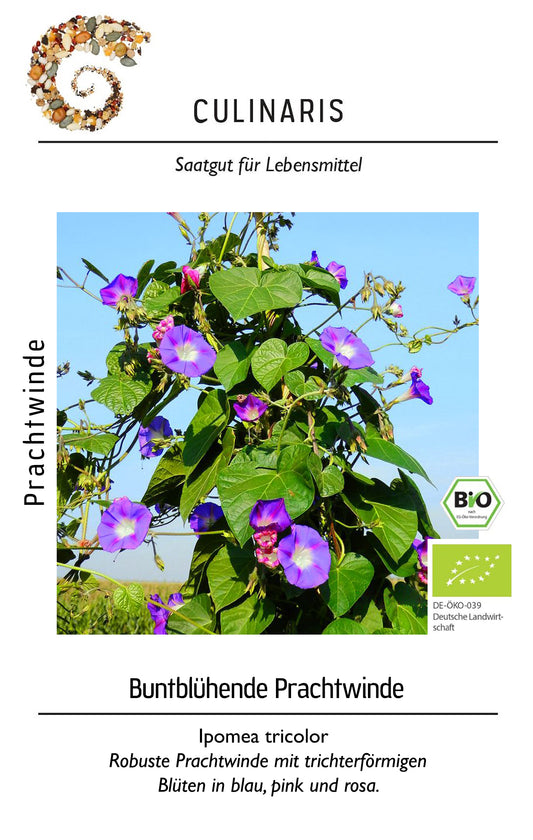 Artikelbild 1 von "BIO Buntblühende Prachtwinde" aus der Kategorie Blumensamen