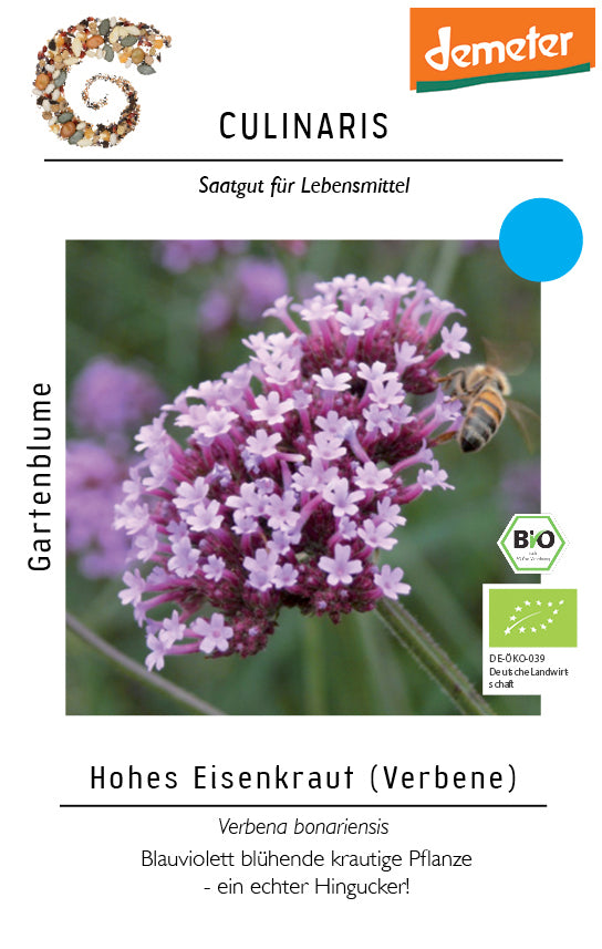 Artikelbild 1 von "BIO Verbene" aus der Kategorie Blumensamen