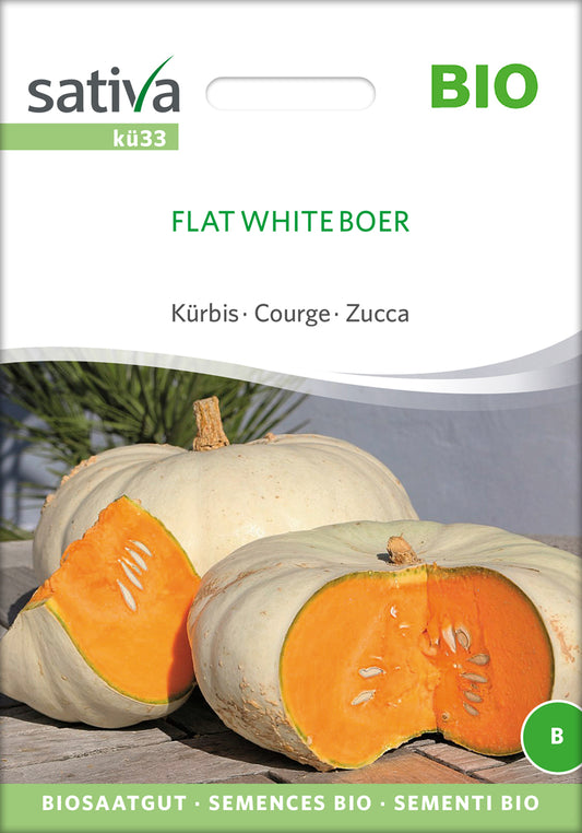 Artikelbild 1 von "BIO Kürbis Flat White Boer" aus der Kategorie Kürbissamen