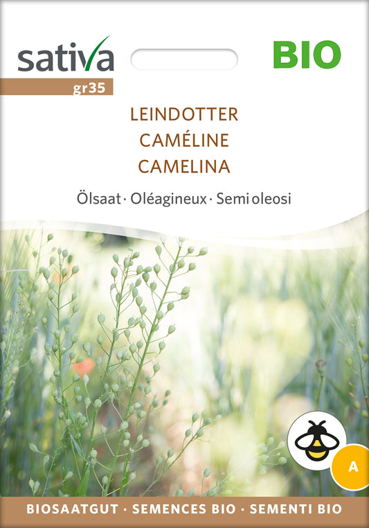 Artikelbild 1 von "BIO Ölsaat Leindotter" aus der Kategorie Gründünger & -düngung