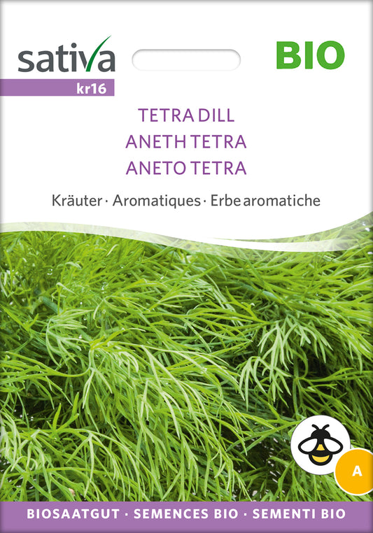 Artikelbild 1 von "BIO Dill Tetra" aus der Kategorie Dillsamen