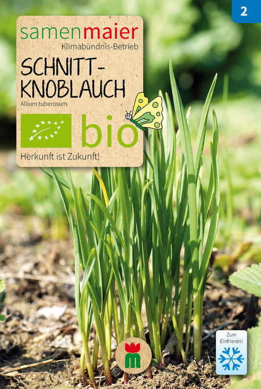 Artikelbild 1 von "BIO Schnittknoblauch" aus der Kategorie Kräutersamen