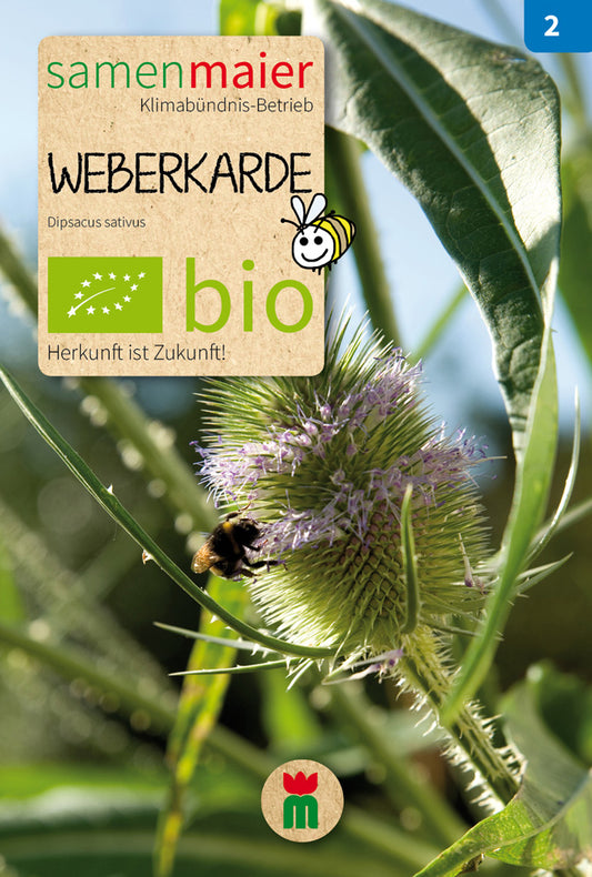 Artikelbild 1 von "BIO Weberkarde" aus der Kategorie Wildblumensamen