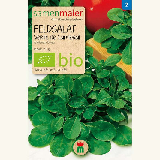Artikelbild 1 von "BIO Feldsalat Verte de Cambrai" aus der Kategorie Feldsalatsamen