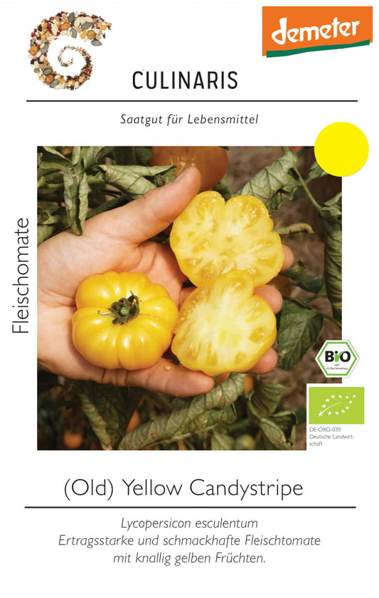 Artikelbild 1 von "BIO Fleischtomate Old Yellow Candystripe" aus der Kategorie Fleischtomatensamen