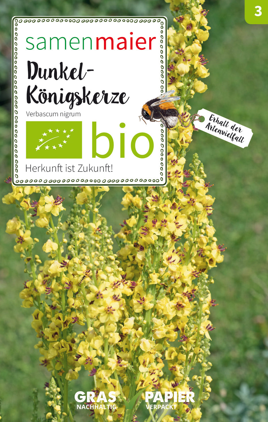 Artikelbild 1 von "BIO Dunkel-Königskerze" aus der Kategorie Wildblumensamen