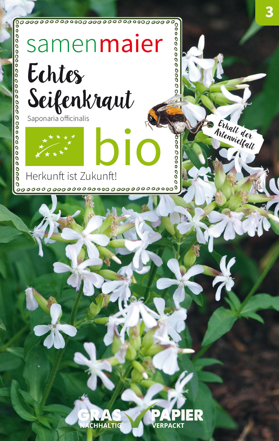 Artikelbild 1 von "BIO Echtes Seifenkraut" aus der Kategorie Wildblumensamen