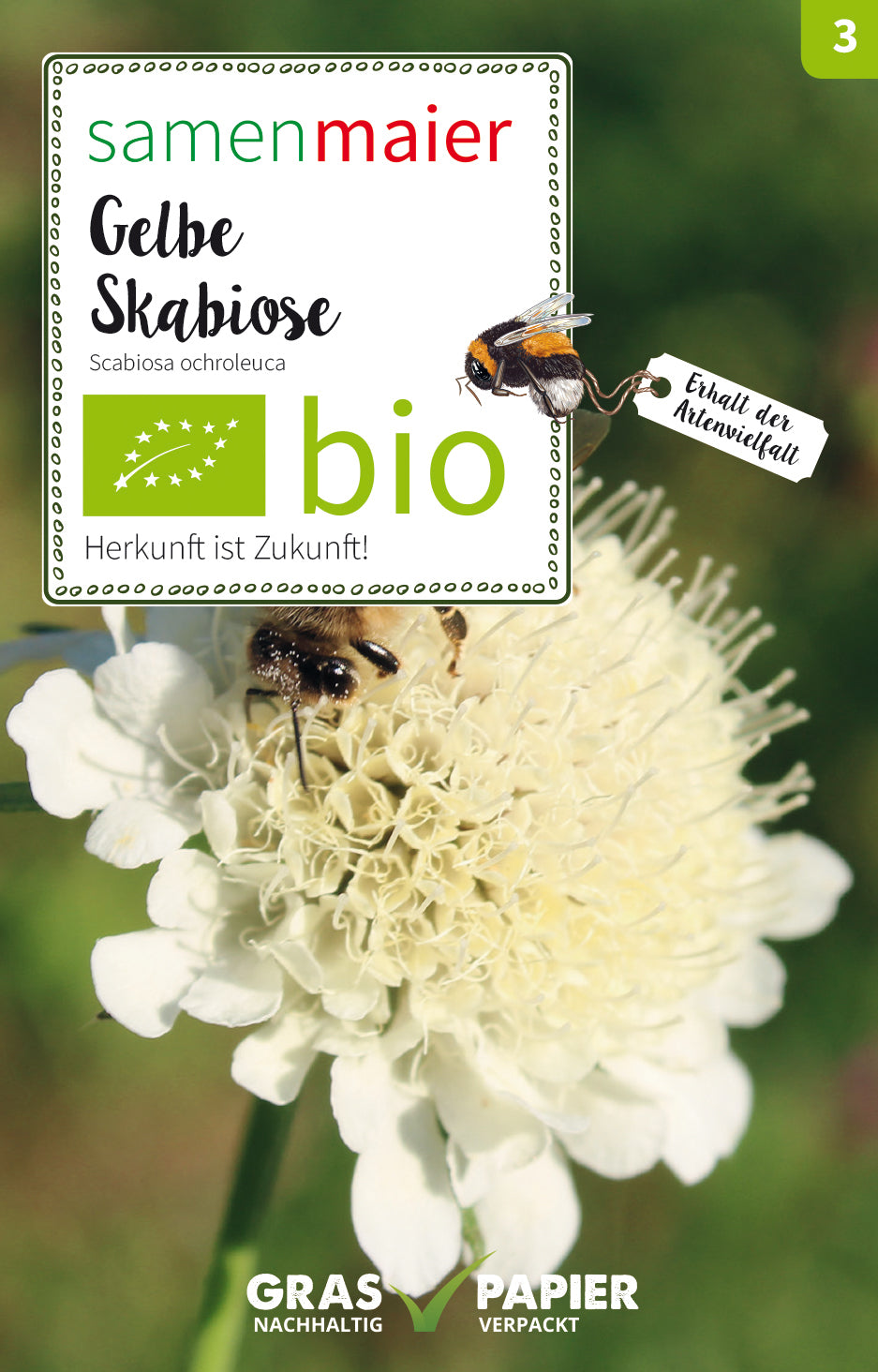 Artikelbild 1 von "BIO Gelbe Skabiose" aus der Kategorie Wildblumensamen