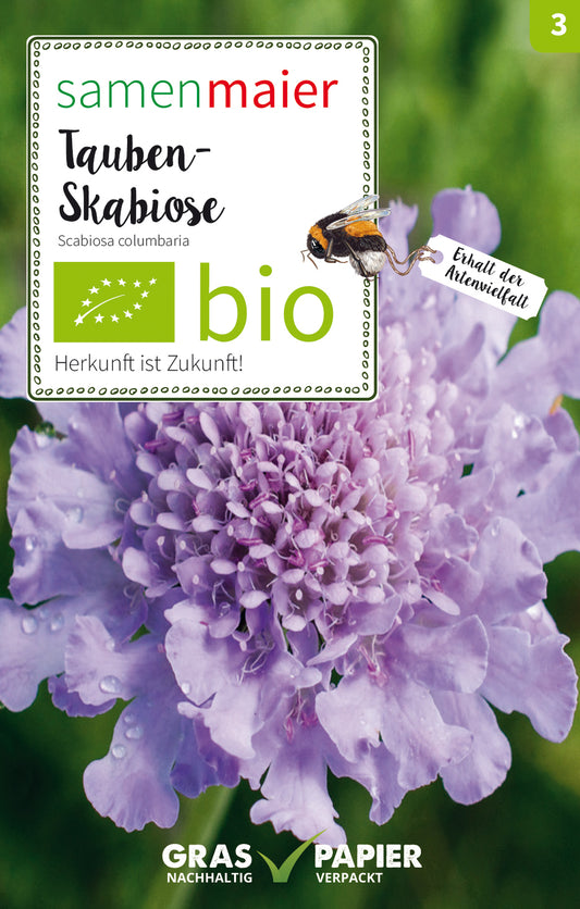 Artikelbild 1 von "BIO Tauben-Skabiose" aus der Kategorie Wildblumensamen