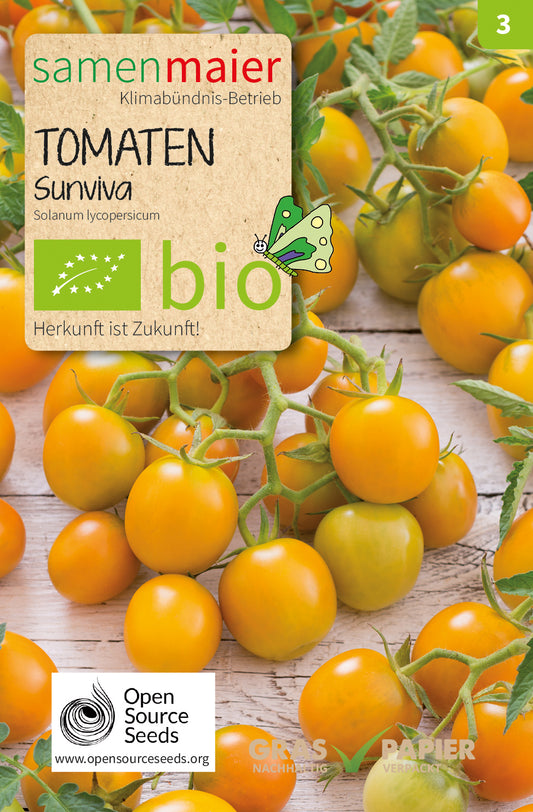 Artikelbild 1 von "BIO Tomate Sunviva" aus der Kategorie Tomatensamen