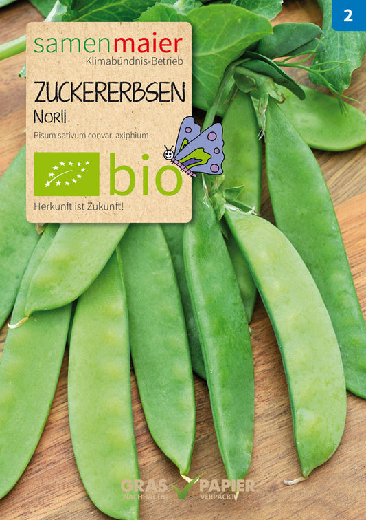 Artikelbild 1 von "BIO Zuckererbse Norli" aus der Kategorie Zuckererbsensamen