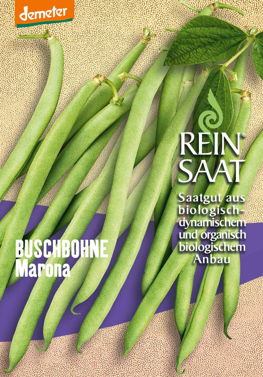 Artikelbild 1 von "BIO Buschbohne Marona" aus der Kategorie Buschbohnensamen