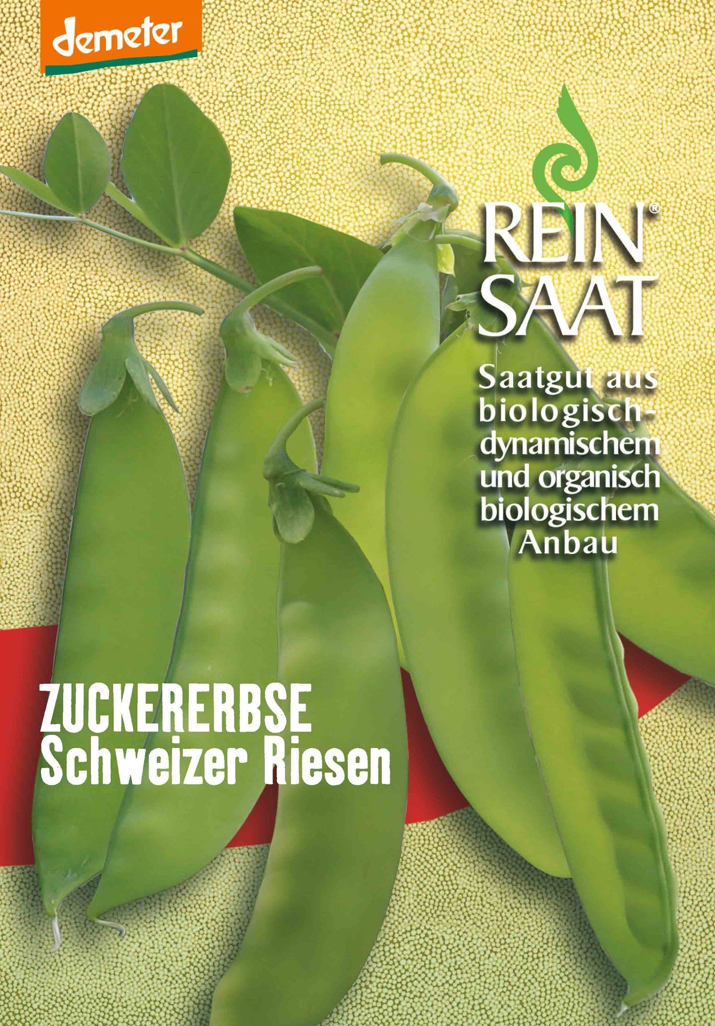 Artikelbild 1 von "BIO Zuckererbse Schweizer Riesen" aus der Kategorie Zuckererbsensamen