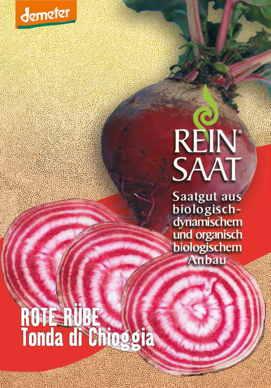 Artikelbild 1 von "BIO Rote Rübe Tonda di Chioggia" aus der Kategorie Rote Beetesamen