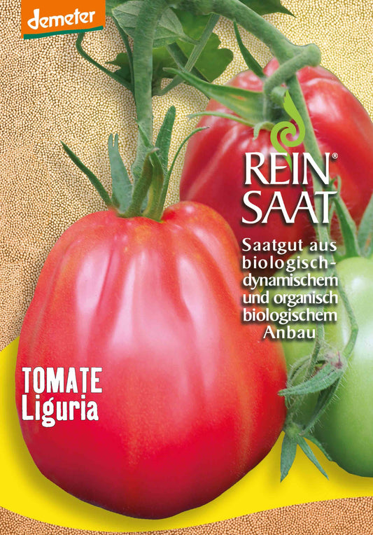 Artikelbild 1 von "BIO Tomate Liguria" aus der Kategorie Fleischtomatensamen