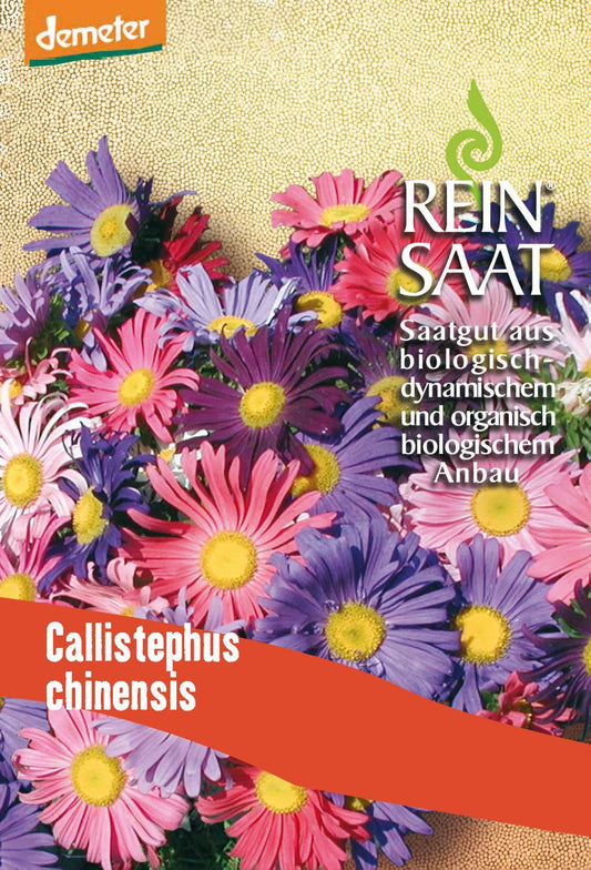 Artikelbild 1 von "BIO Sommeraster" aus der Kategorie Asternsamen