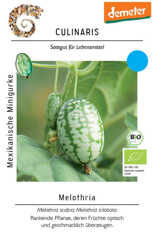 Artikelbild 1 von "BIO Mexikanische Minigurke" aus der Kategorie Gurkensamen