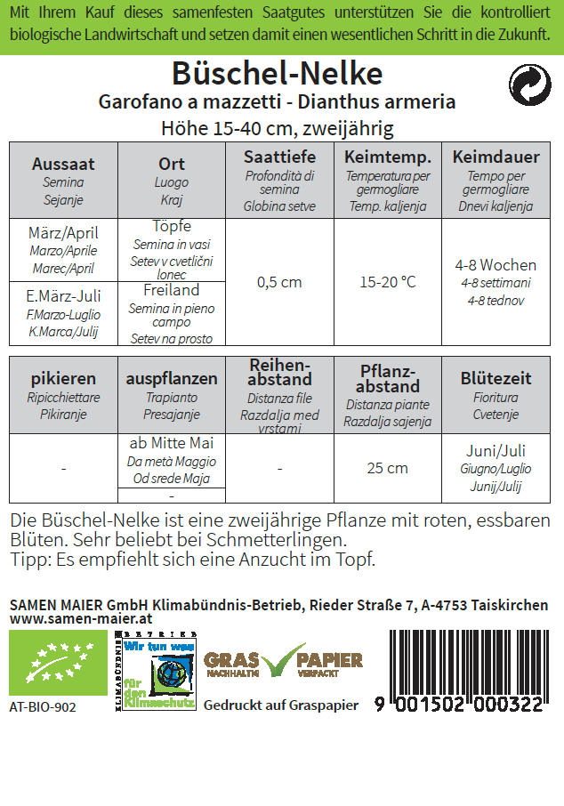 Artikelbild 2 von "BIO Wildblüte Büschel - Nelke" aus der Kategorie Nelkensamen