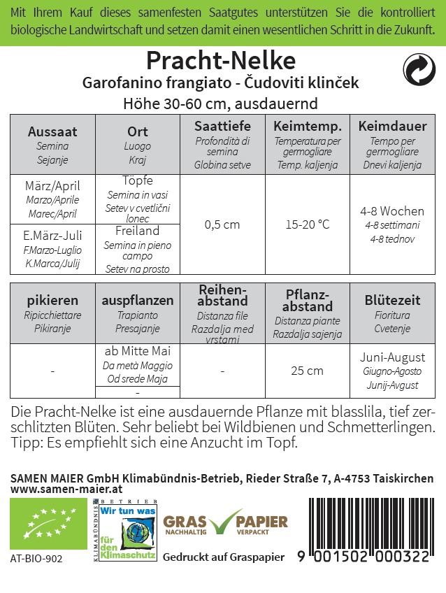 Artikelbild 2 von "BIO Wildblüte Pracht - Nelke" aus der Kategorie Nelkensamen