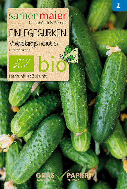 Artikelbild 1 von "BIO Einlegegurken Vorgebirgstrauben" aus der Kategorie Einlegegurkensamen