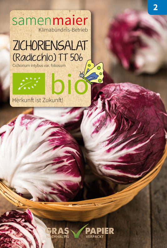 Artikelbild 1 von "BIO Zichoriensalat (Radicchio)" aus der Kategorie Radicchiosamen