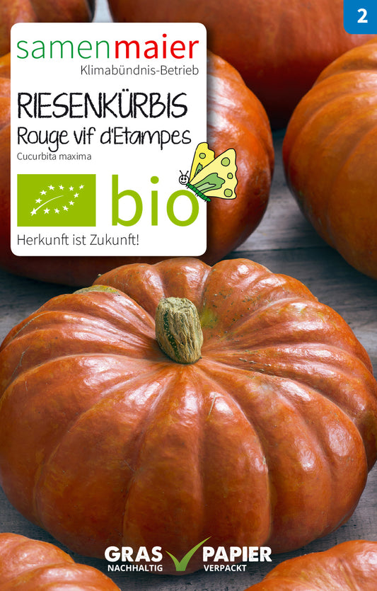 Artikelbild 1 von "BIO Riesenkürbis Rouge vif d'Etampes (Roter Zentner)"