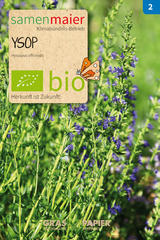 Artikelbild 1 von "BIO Ysop mehrjährig" aus der Kategorie Ysopsamen