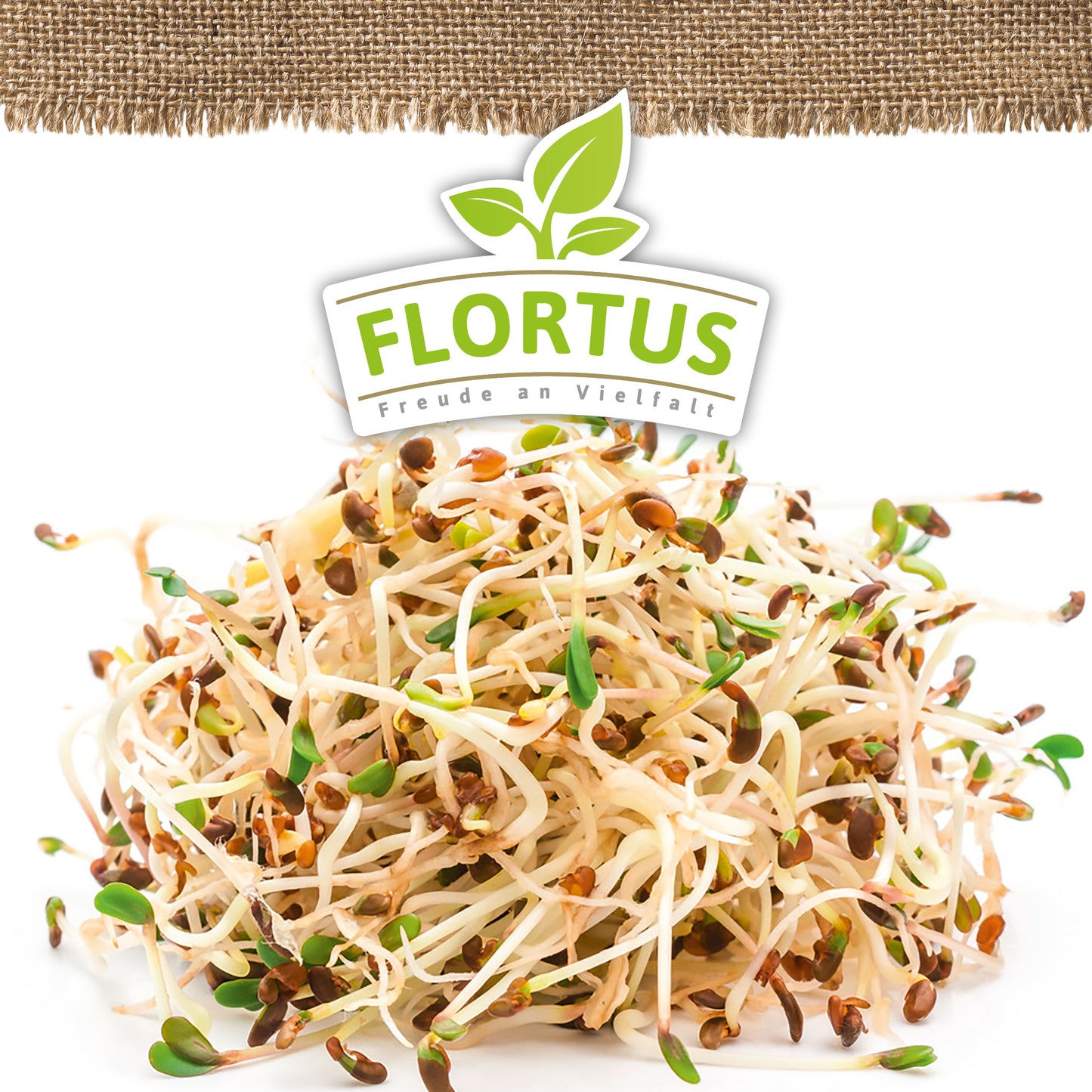 Artikelbild 5 von "BIO Keimsprossen Rotklee" aus der Kategorie Keimsprossen