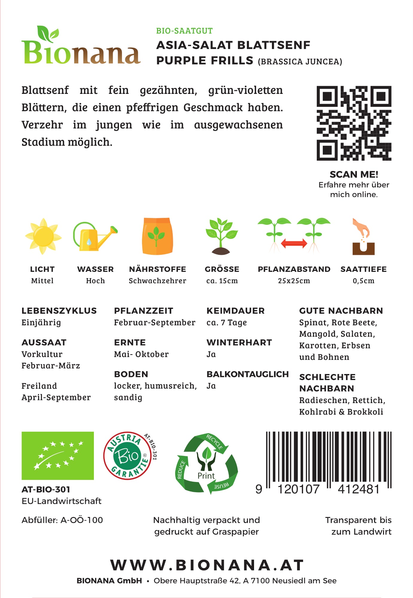 Artikelbild 2 von "BIO Asiasalat Purple Frills" aus der Kategorie Asiasalatsamen