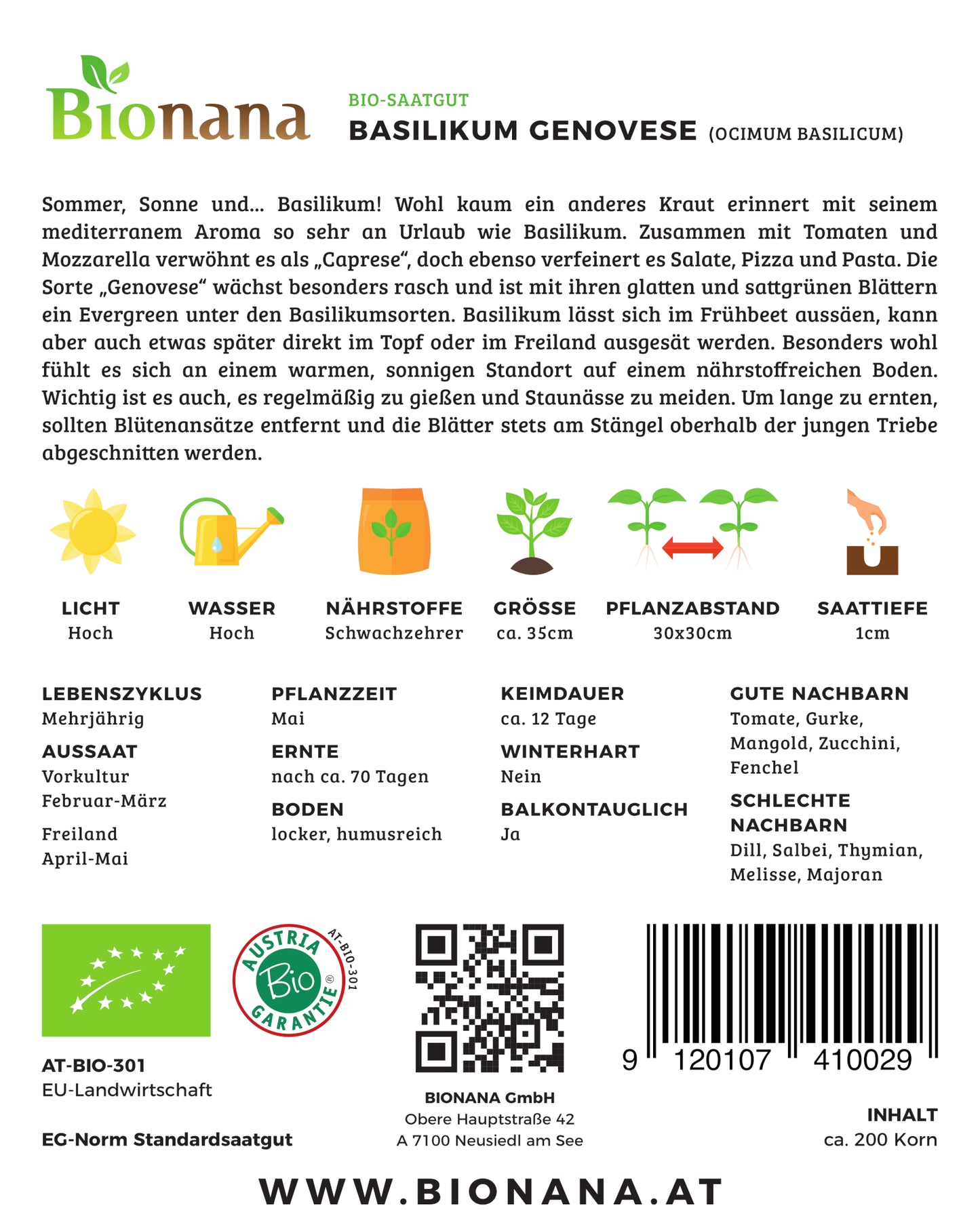 Artikelbild 2 von "BIO Basilikum Genovese" aus der Kategorie Basilikumsamen